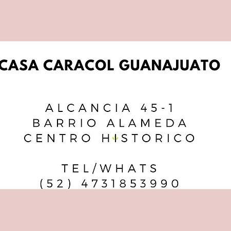Апарт отель Casa Caracol Гуанахуато Экстерьер фото